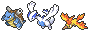 Blastoise Lugia Moltres